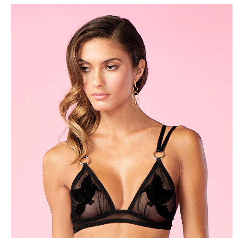 BAO TRANCHI Flight Of Bird BRA